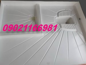 سرویس بهداشتی